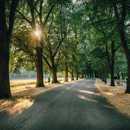 Allee Apartment バーデン＝バーデン エクステリア 写真